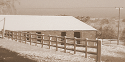 Spinney View Barn