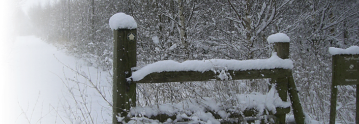 Spinney View Barn