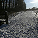 Walk at Spinney View