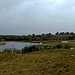 Local lake at Forestry Centre